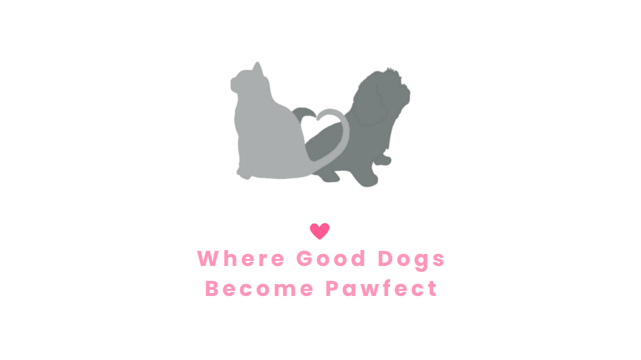 Pawfect Partner LLC | Dog Training