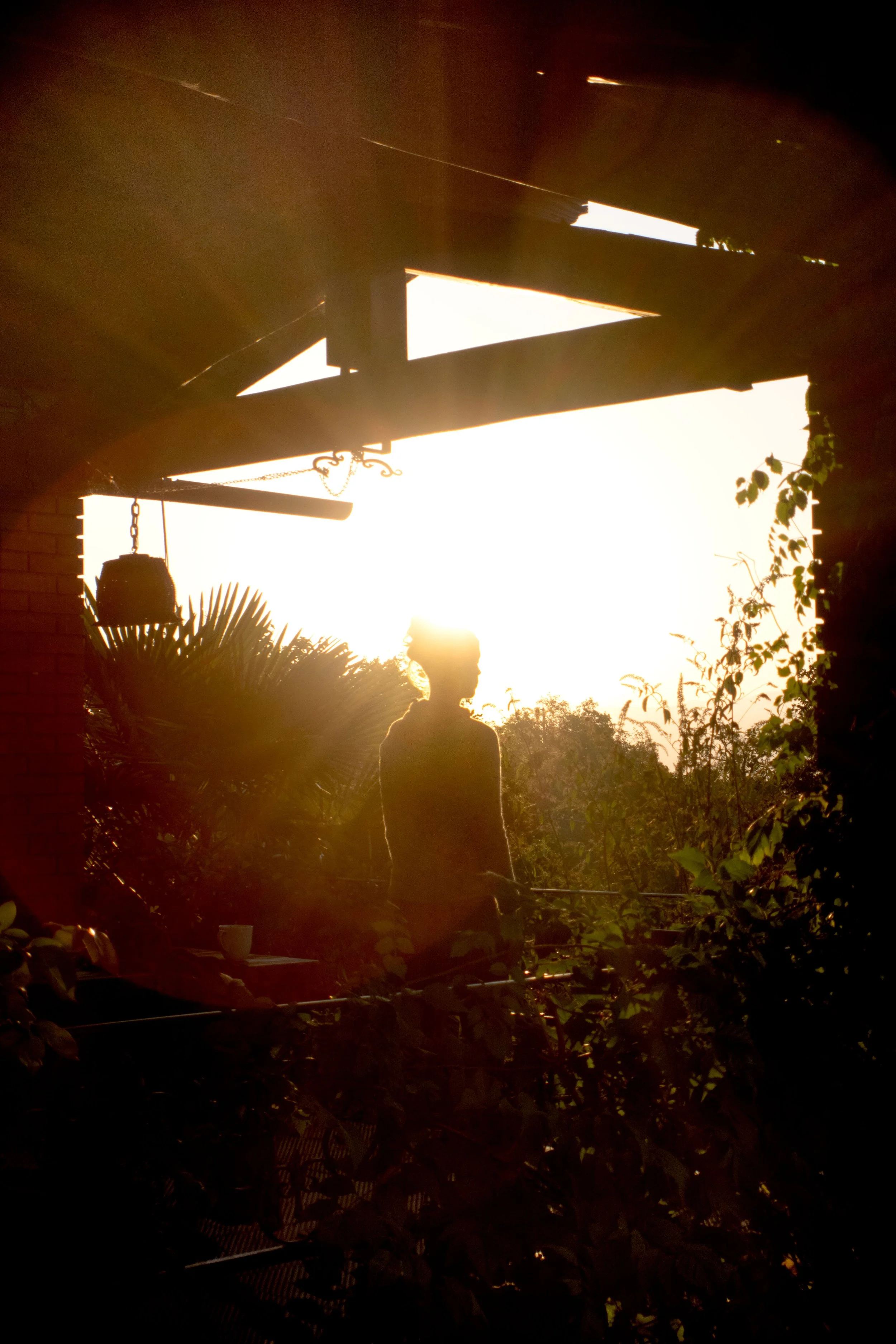 Silhouette einer Person auf einem Balkon bei Sonnenaufgang oder Sonnenuntergang, umgeben von Pflanzen.