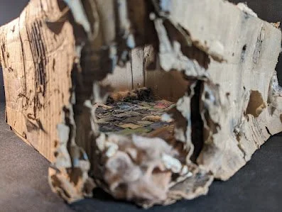 "The Box"