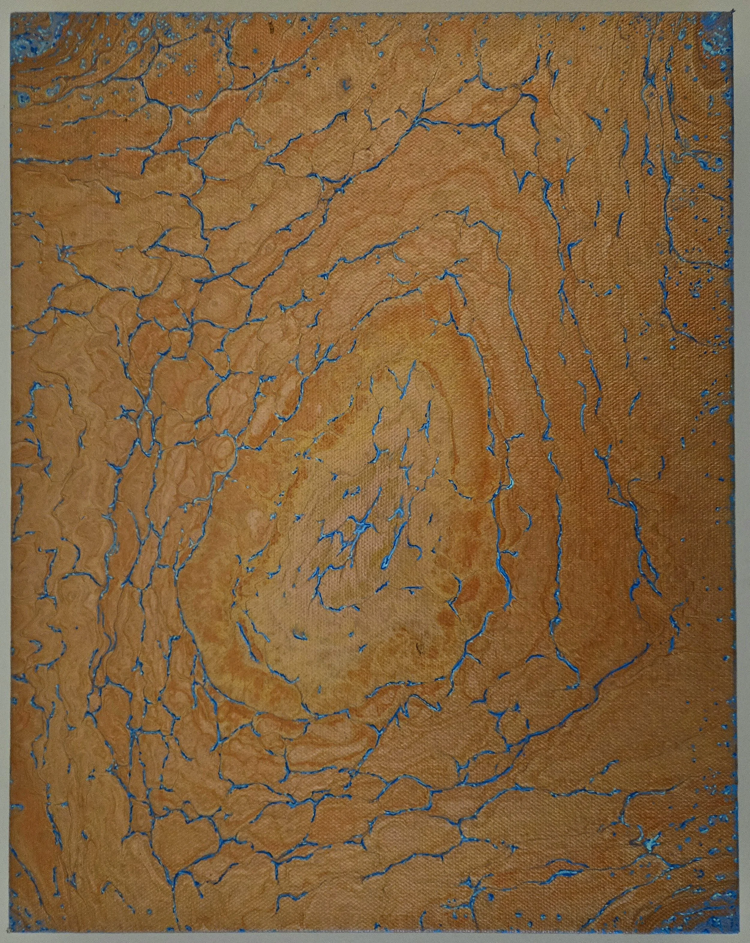 VENAE AQUAE TERRAE