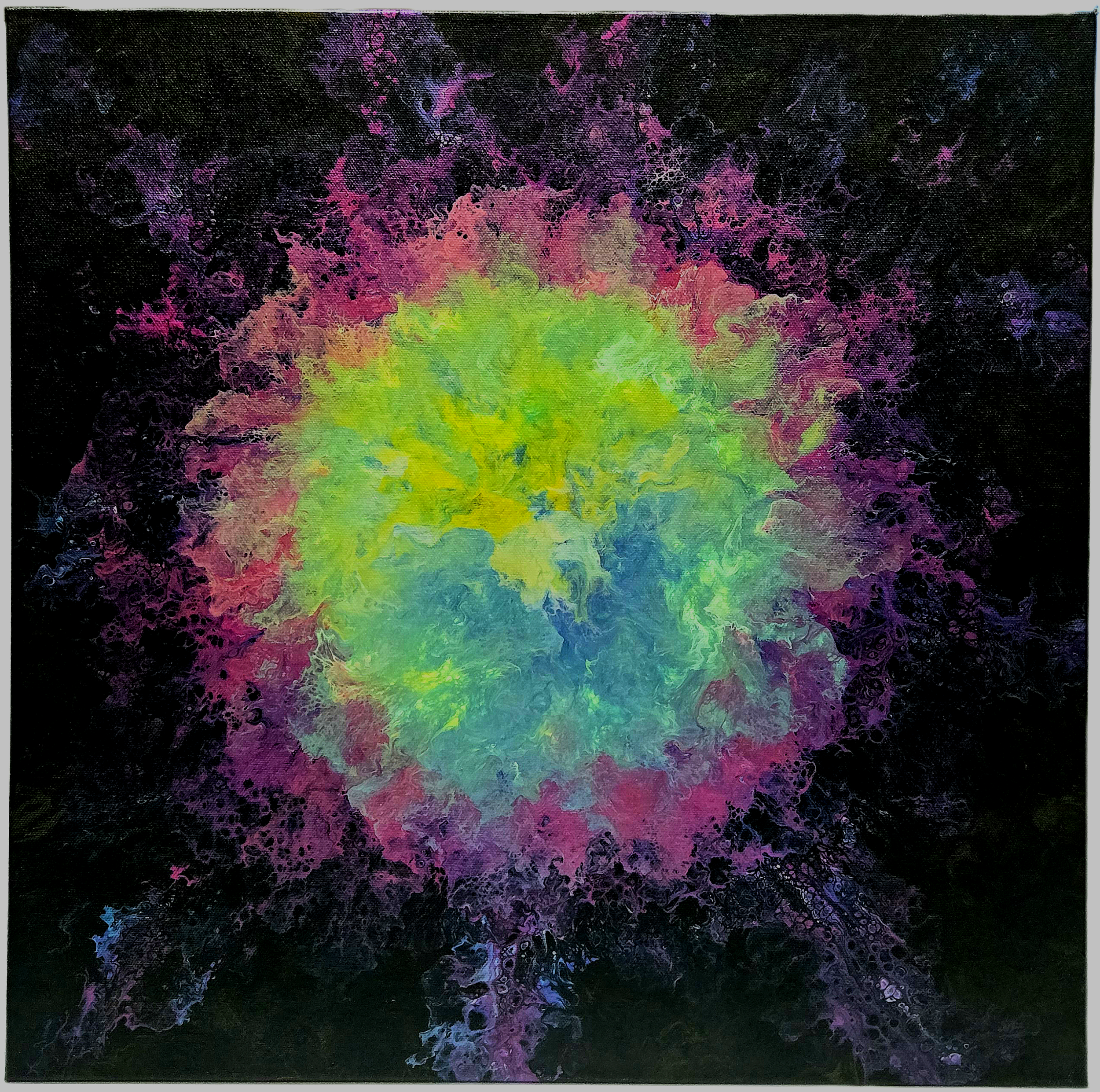Night Bloom