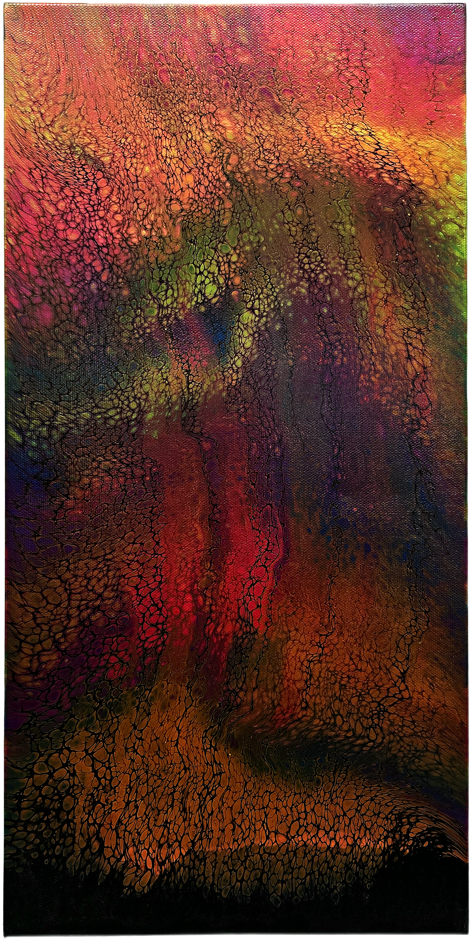 Aurora Rising
