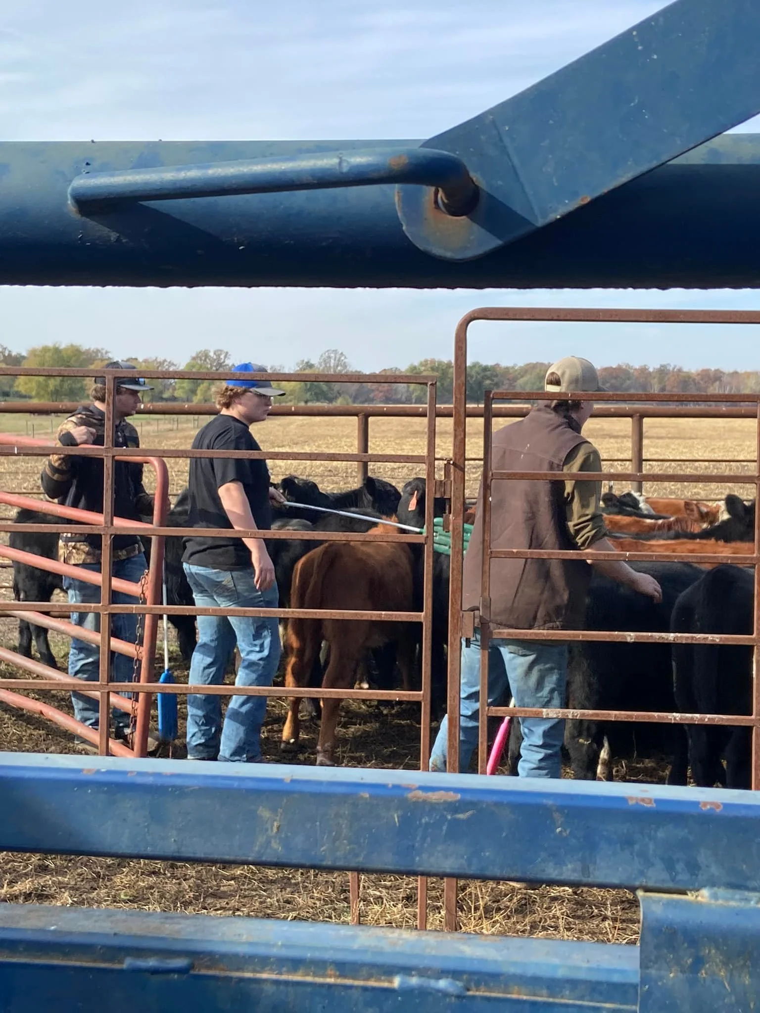 Boys in the pen.jpg