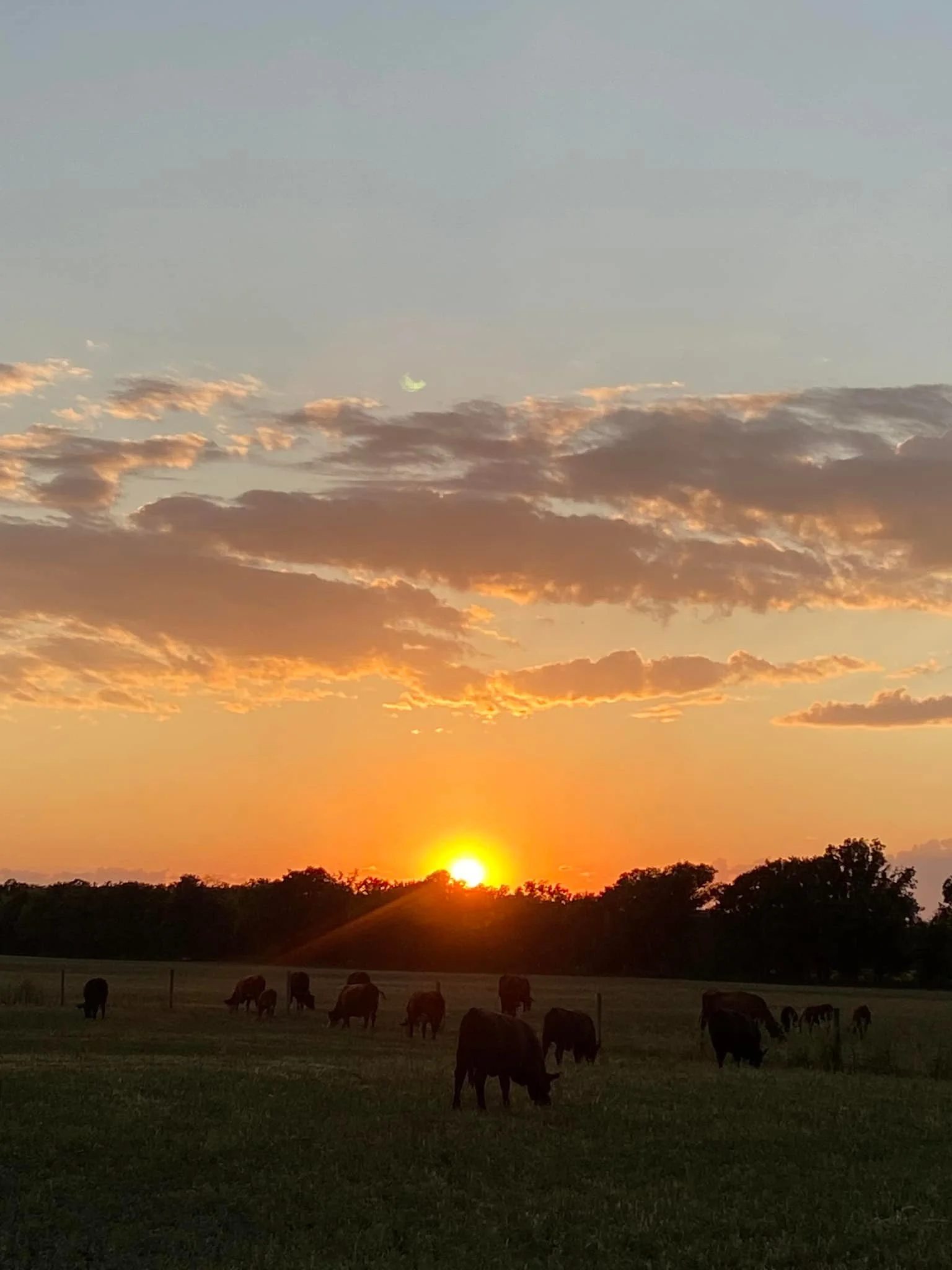 Sunset on the farm.jpg