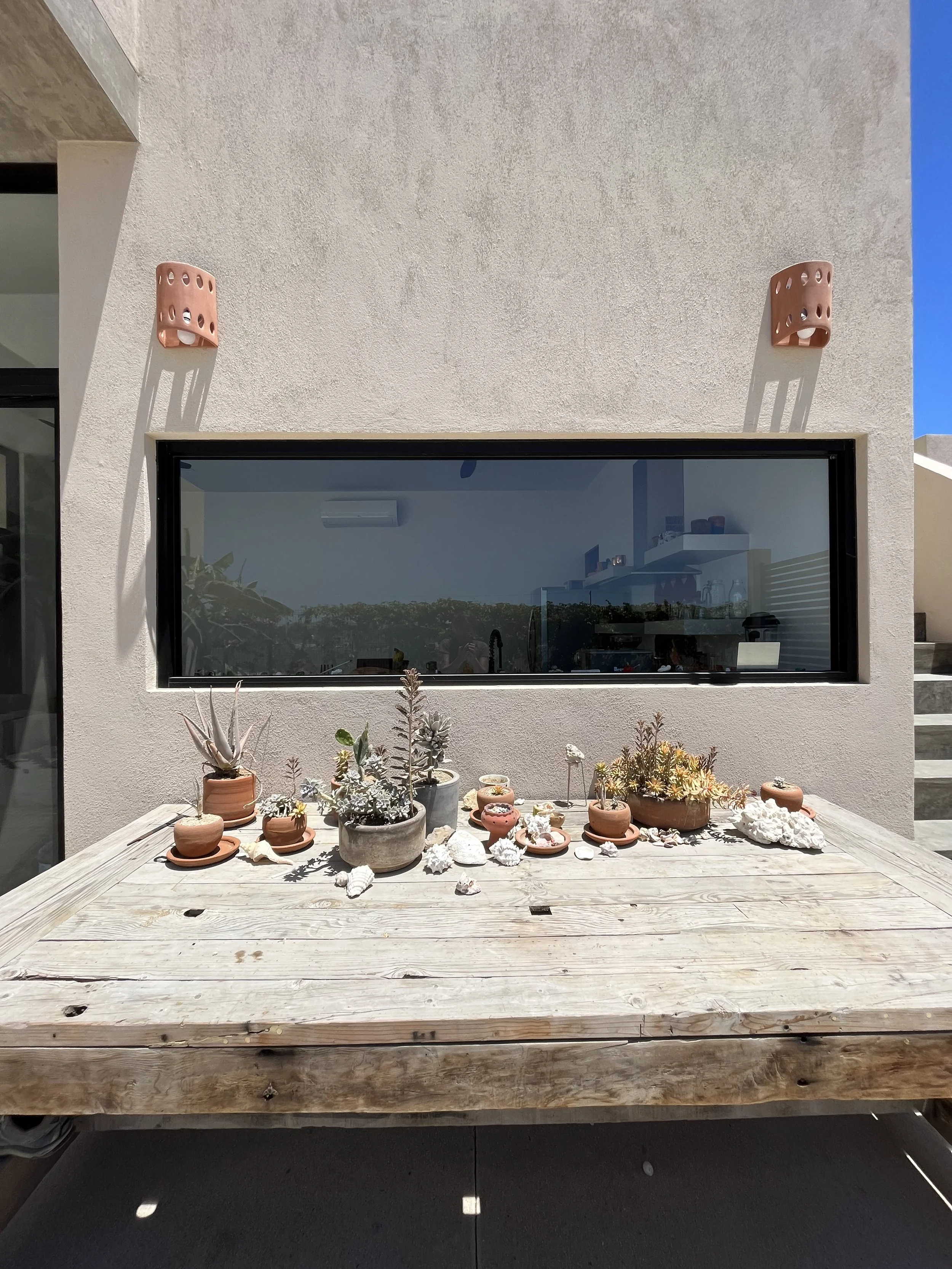 Cactus Table