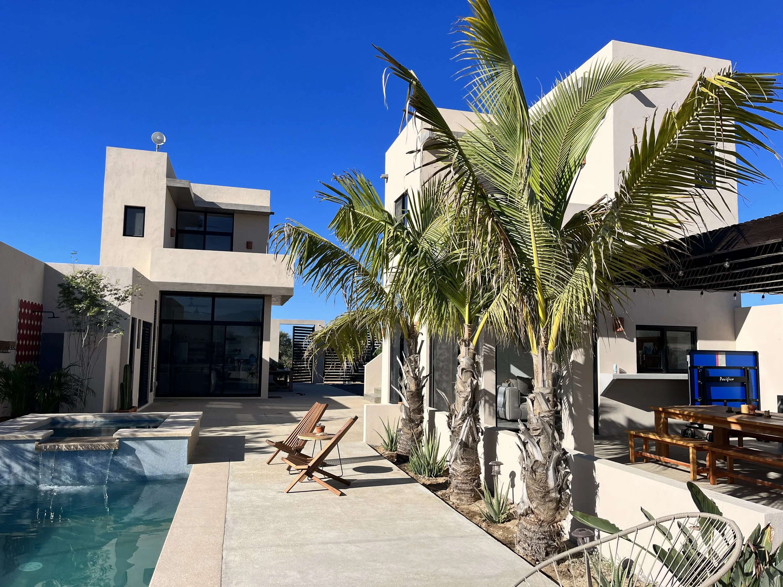 Palms