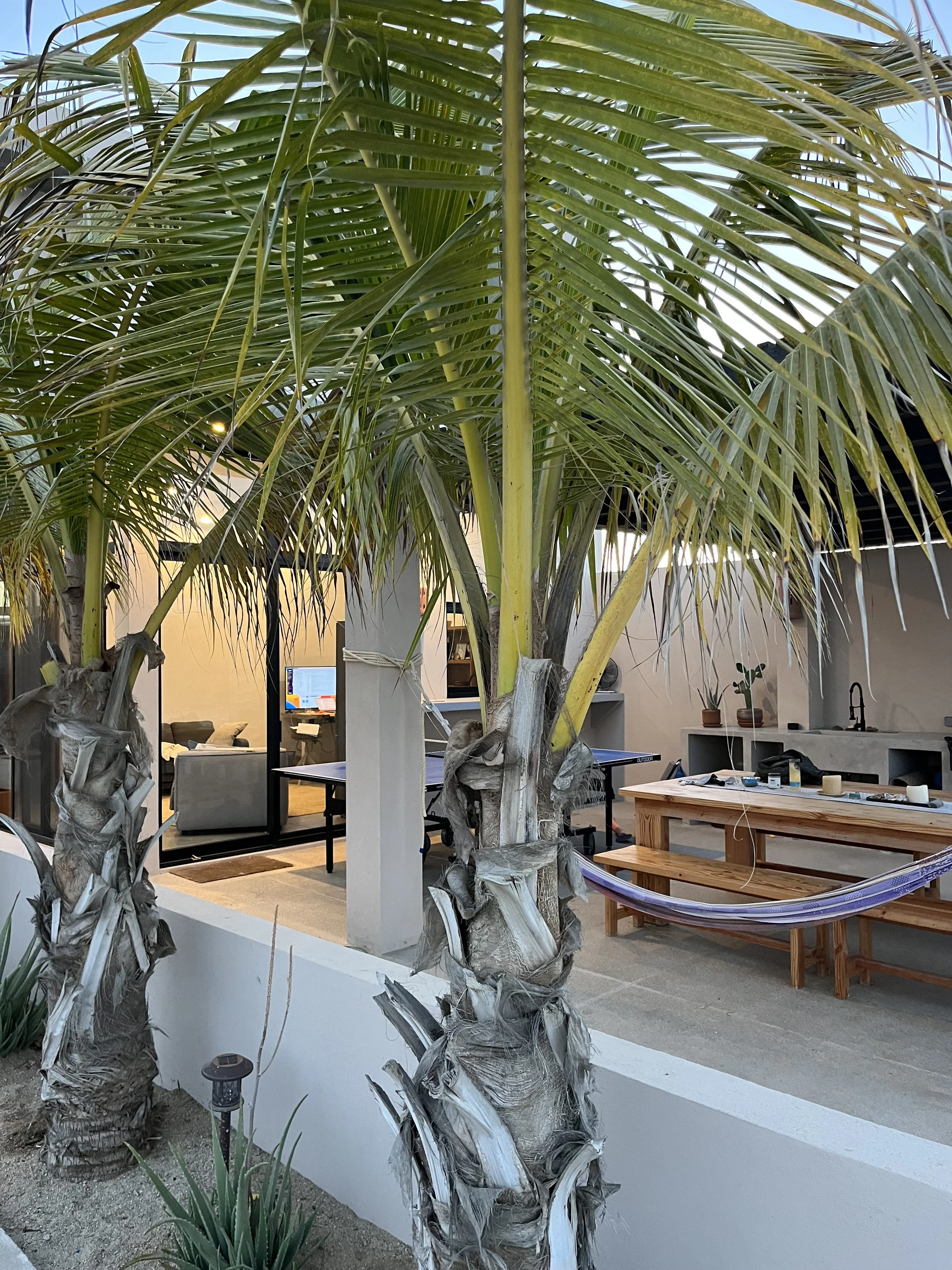 Hammock + Outdoor BBQ Space