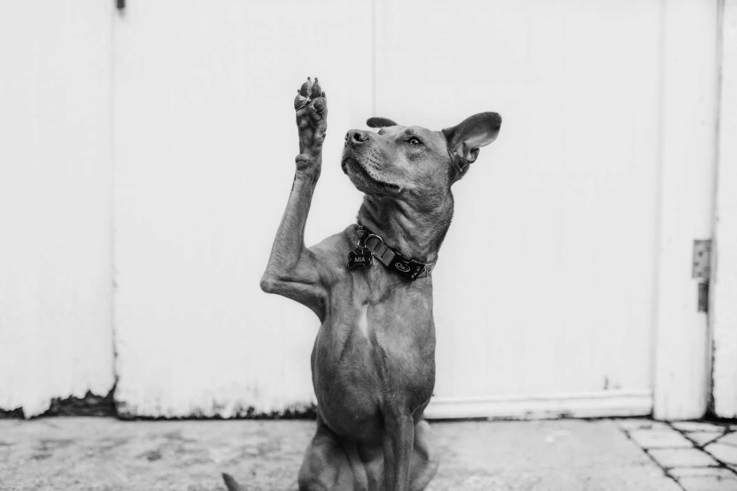 How to ask for what you want without apologizing