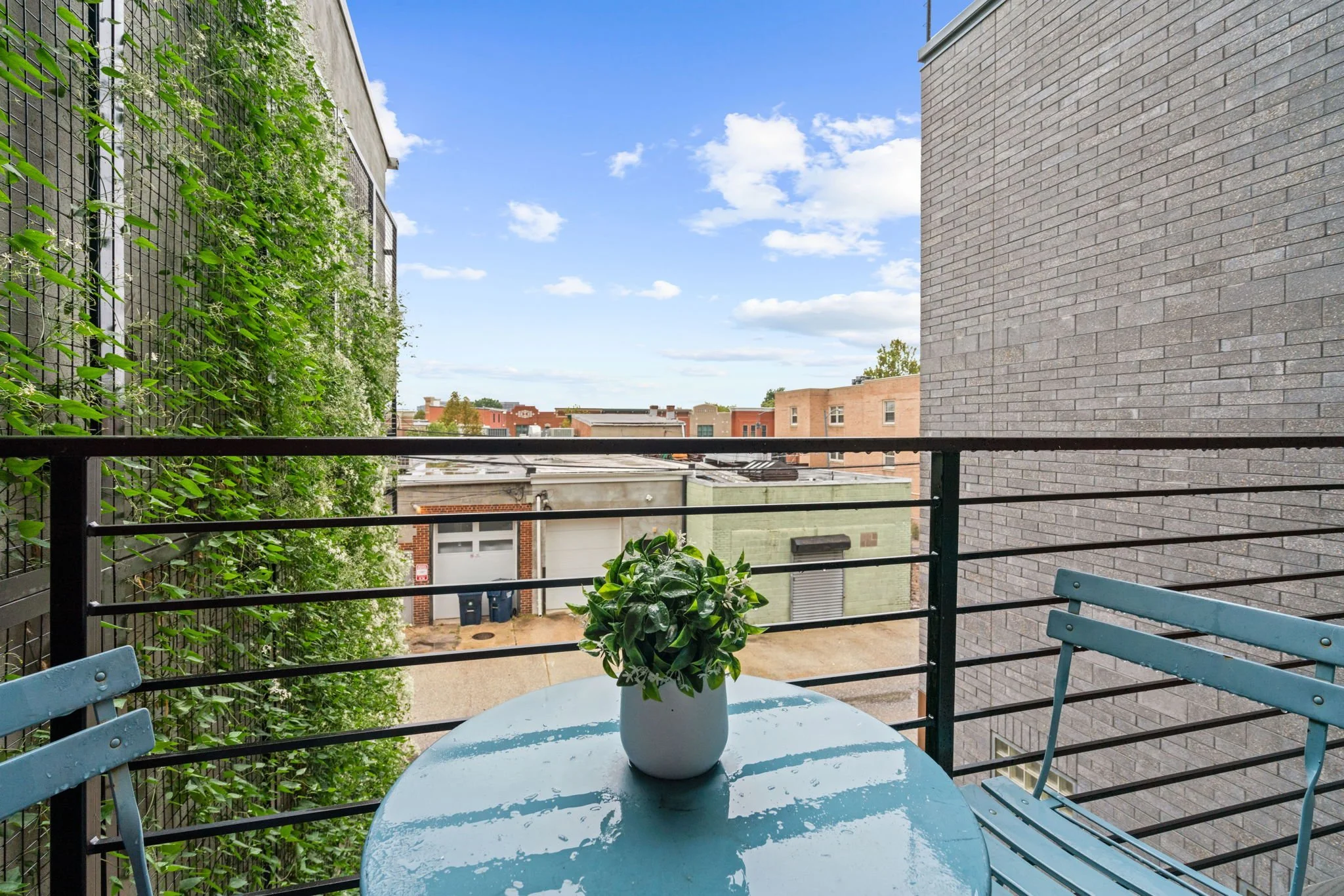 37-web-or-mls-733 8th St SE #202 - 0037.jpg