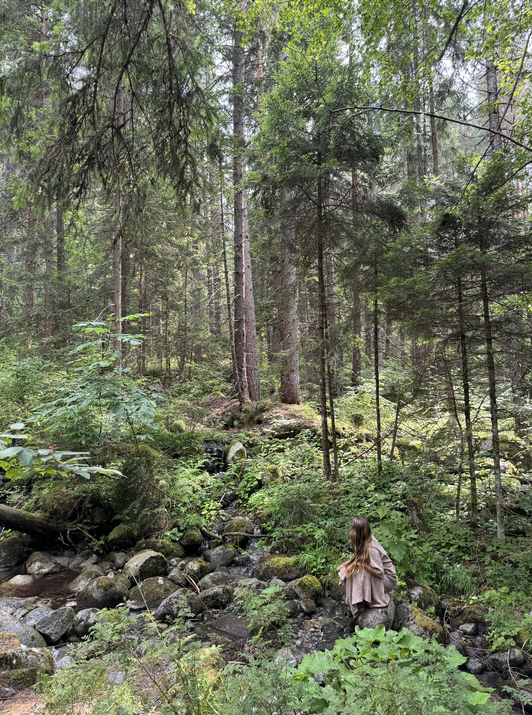 A woman with long hair is sitting on a large rock in a lush, green forest near a small stream surrounded by trees and dense foliage.