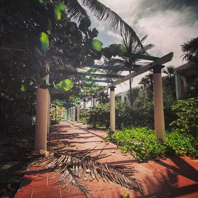 A sunny outdoor walkway lined with lush green plants and trees, with a pergola structure overhead supported by pinkish columns.