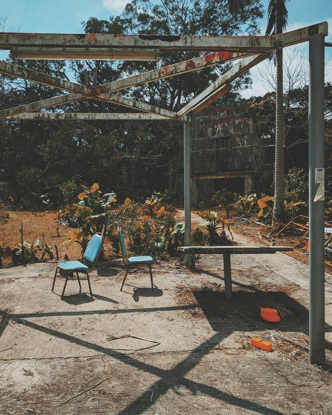 Overgrown outdoor patio with two blue chairs, a small table, and a rusted metal frame structure overhead. In the background, there are plants and trees, and an old building with a balcony. The scene appears abandoned and weathered.
