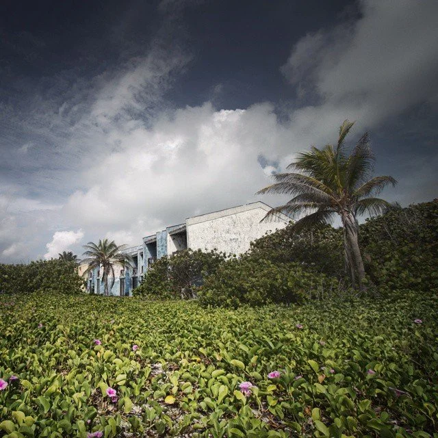 Beachside building with palm trees, surrounded by lush green plants, under a cloudy sky.