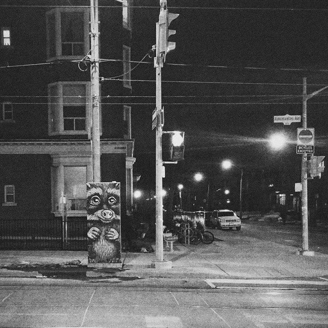 Nighttime city street scene with power poles, traffic lights, parked bicycles, and a mural of a raccoon on a utility box.