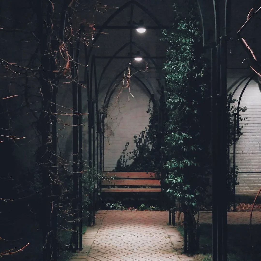 Nighttime scene of a brick pathway leading through a metal archway with vines and leaves, illuminated by wall-mounted lights.