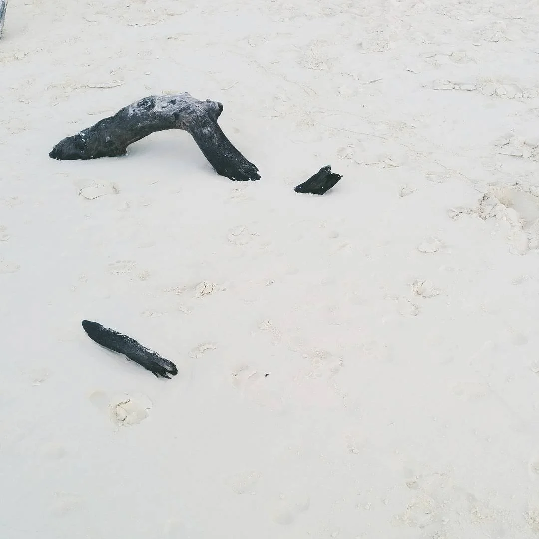 Piece of driftwood on sandy beach with footprints.