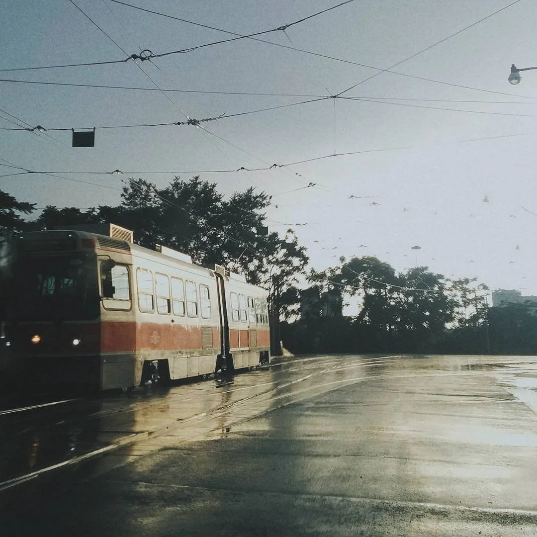 A tram on a wet street during rain with overhead electrical wires and trees in the background.