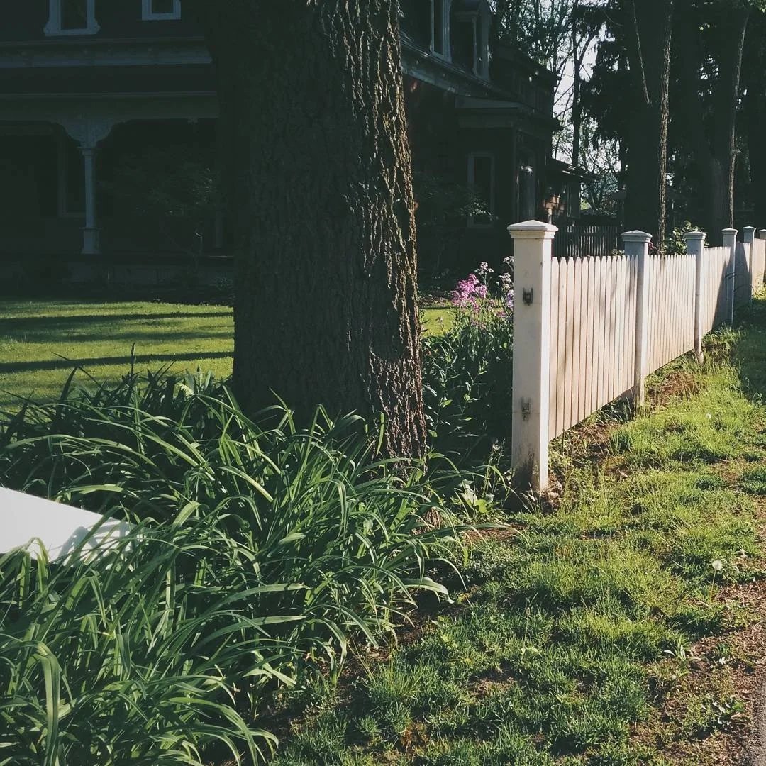 A backyard with a large tree, a white picket fence, green grass, and some flowering plants in front of a house.