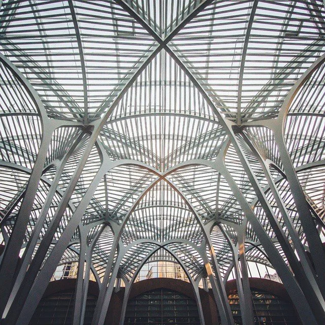 Interior view of a modern architectural structure with intricate, vaulted steel beams and glass ceiling.