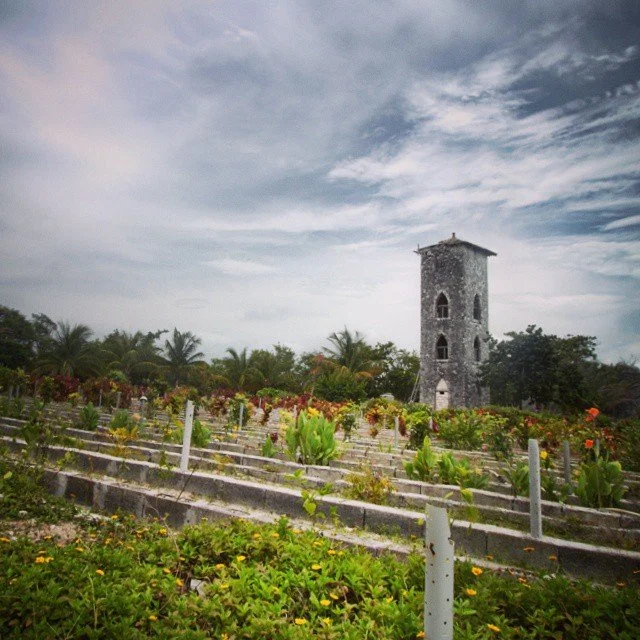 A stone tower surrounded by a terraced garden with various plants and flowers, and palm trees in the background under a partly cloudy sky.