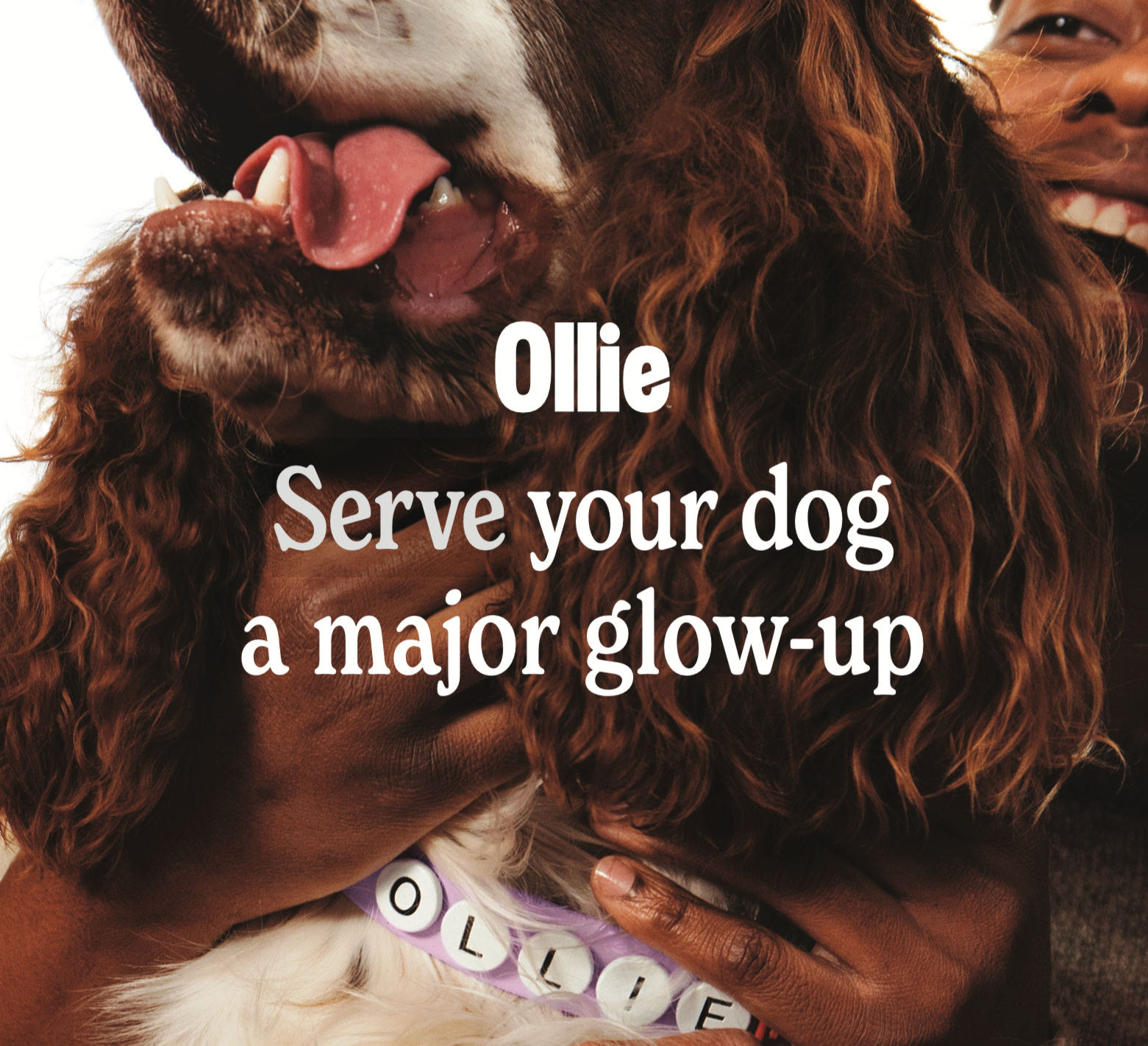 Ollie