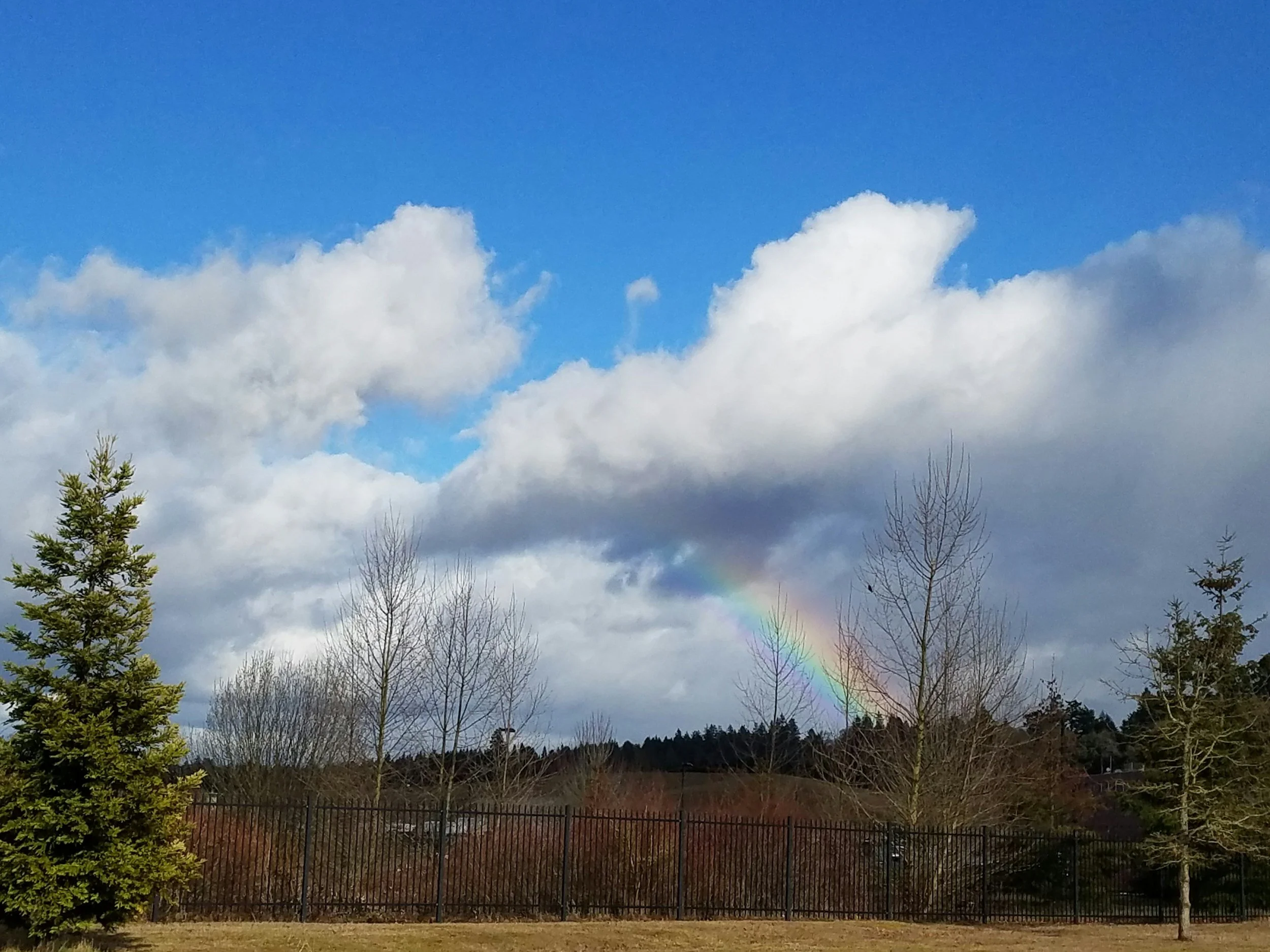 WHEN RURAL COMMUNITIES LEAD: OREGON’S STATEWIDE SYSTEMS CHANGE STORY