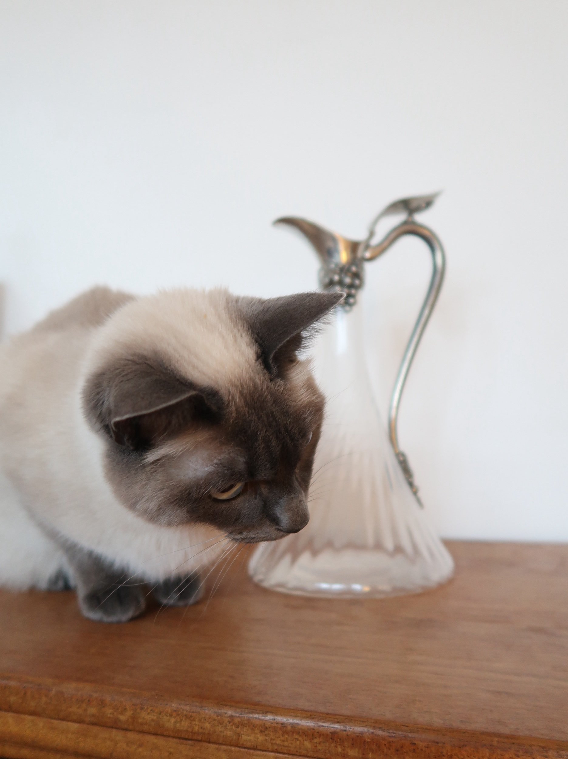 Jean Goardère claret jug