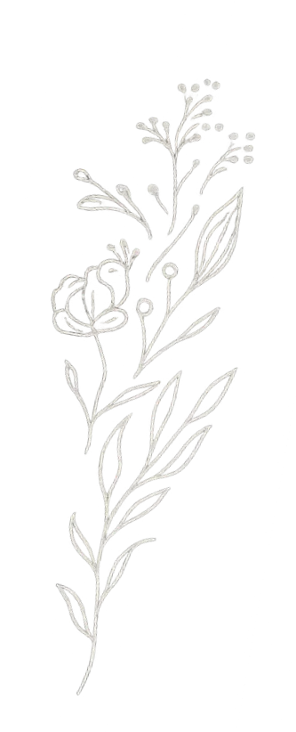 A black and white illustration of a botanical plant with multiple stems, leaves, and small flowers or seed heads at the top.