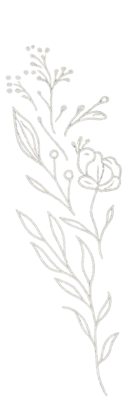 Line drawing of a flowering plant with leaves, small blossoms, and curly tendrils.