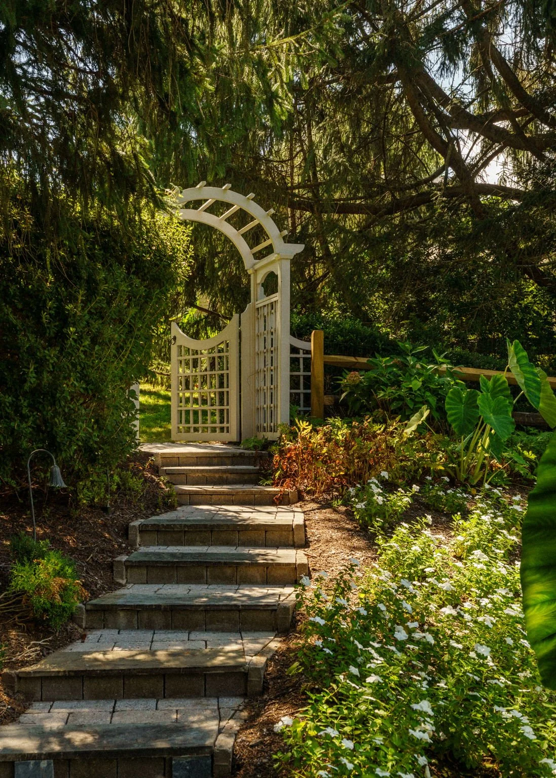 Stone pathway leading to a white decorative garden gate surrounded by lush greenery and sunlight.