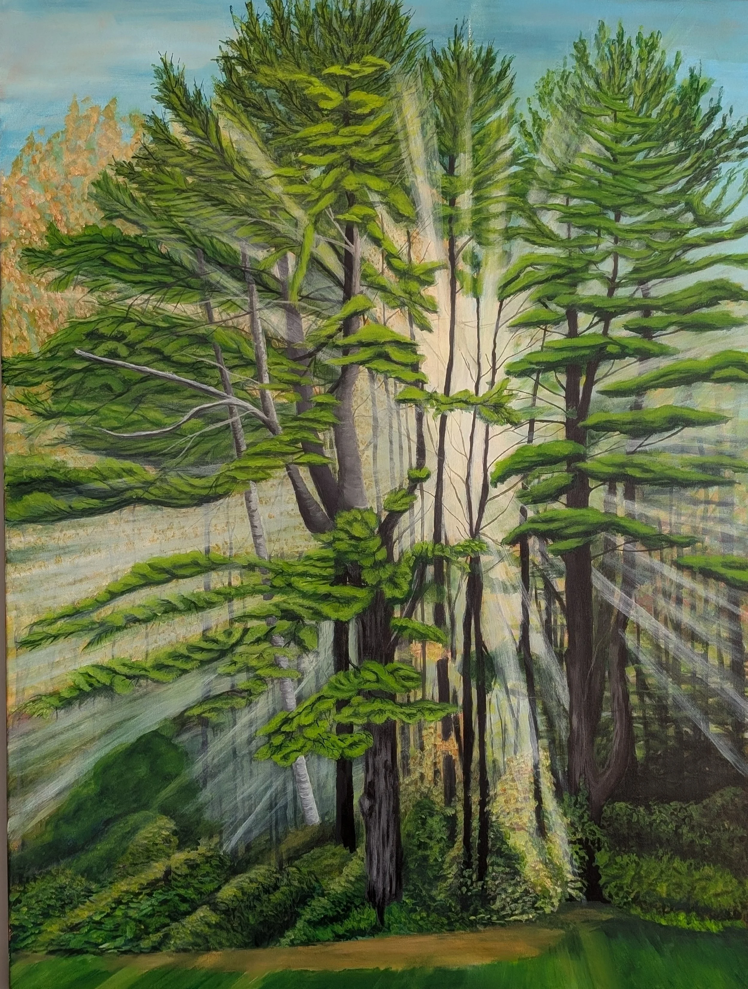 A painting of a forest scene with tall pine trees with sun and campfire smoke rays filtering through the branches.