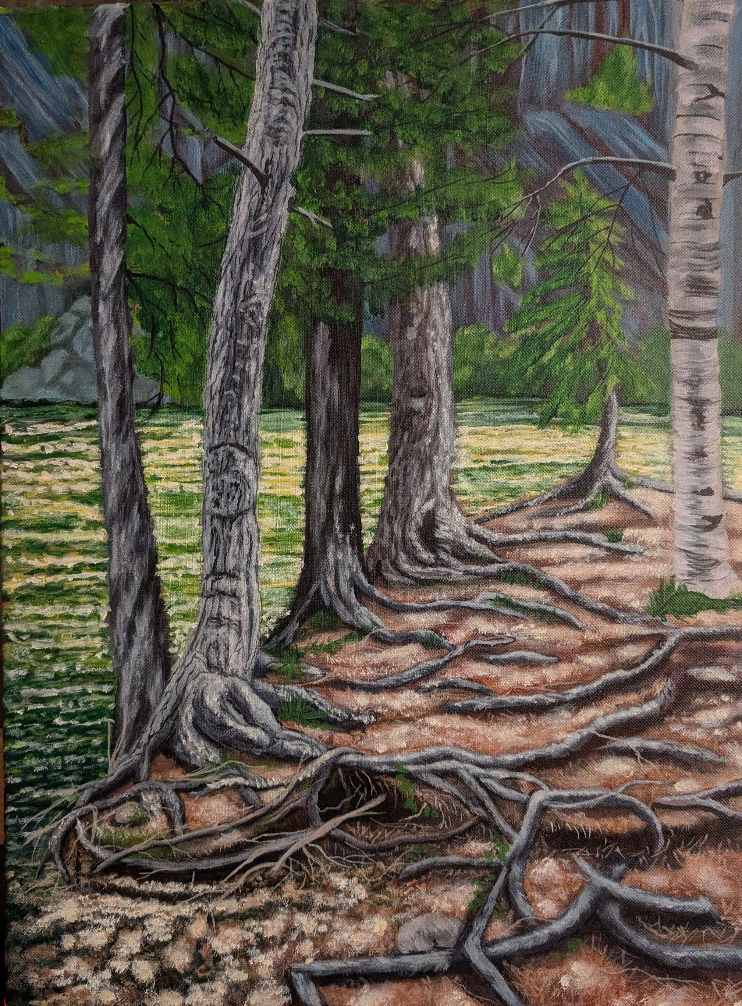 A painting of a forest scene showing several tall trees with exposed roots on the ground, green foliage, and a rocky background.