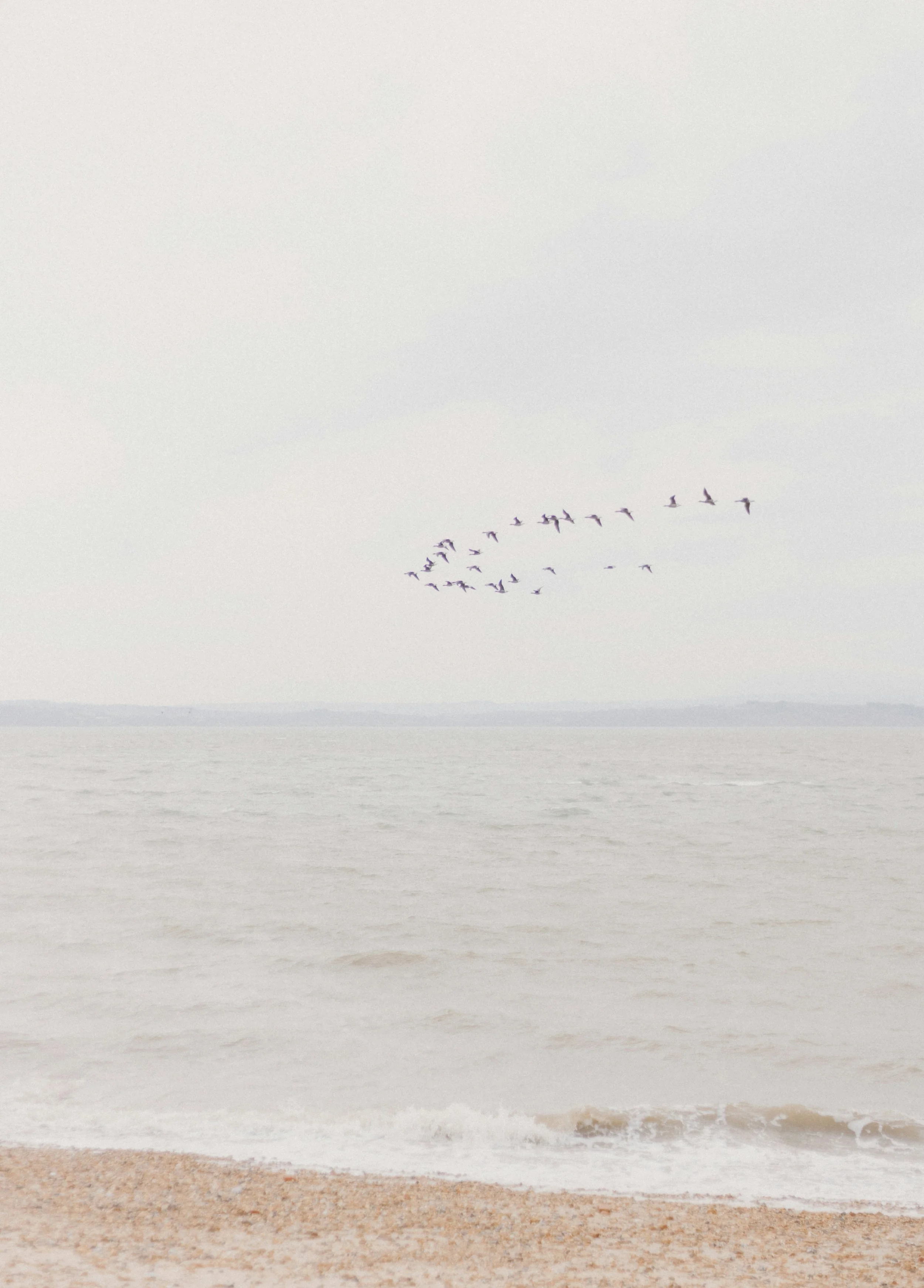 A flock of birds flying over the ocean near a sandy beach under a cloudy sky.