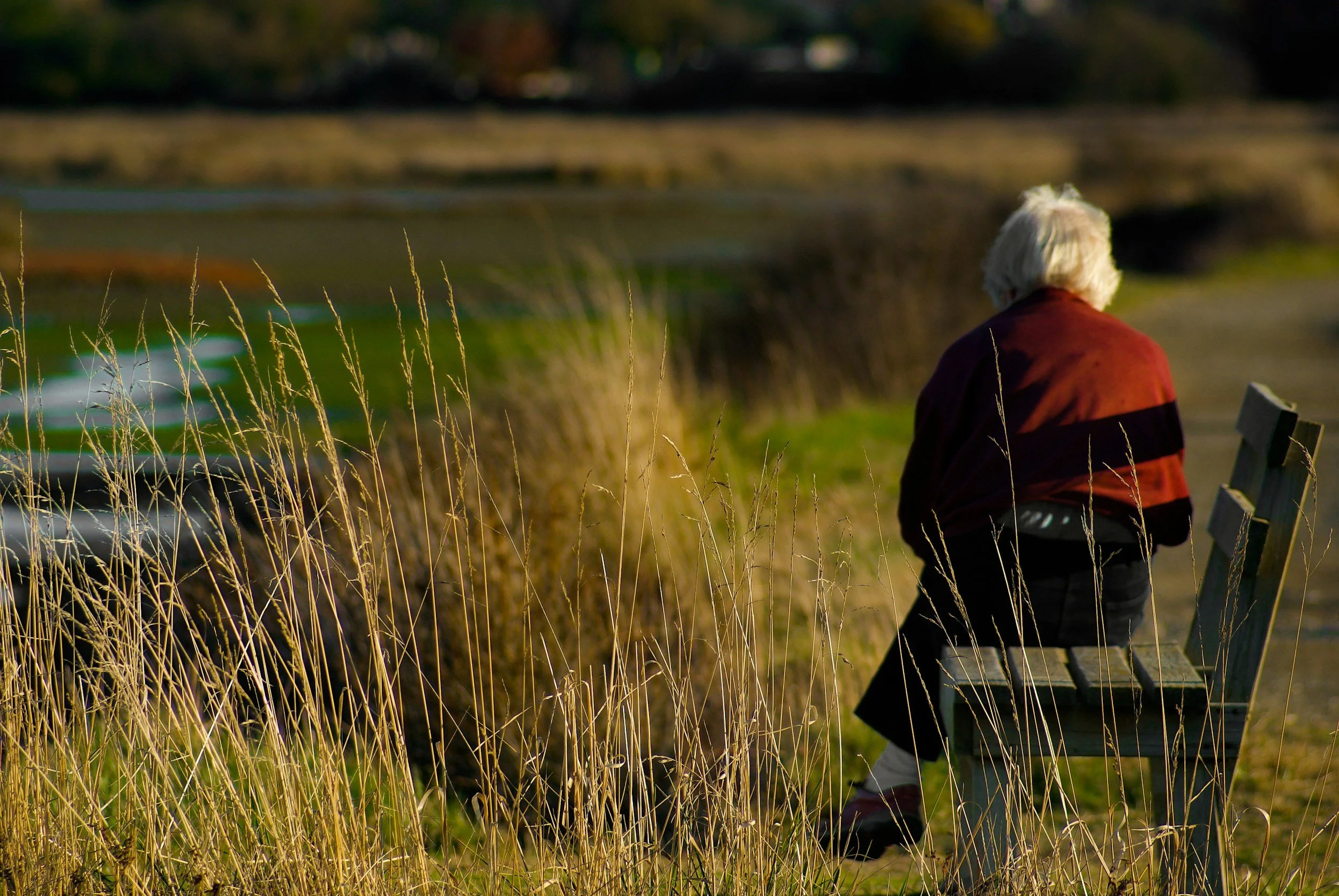 An elderly person sitting alone on a bench along a grassy riverside during late afternoon or early evening.