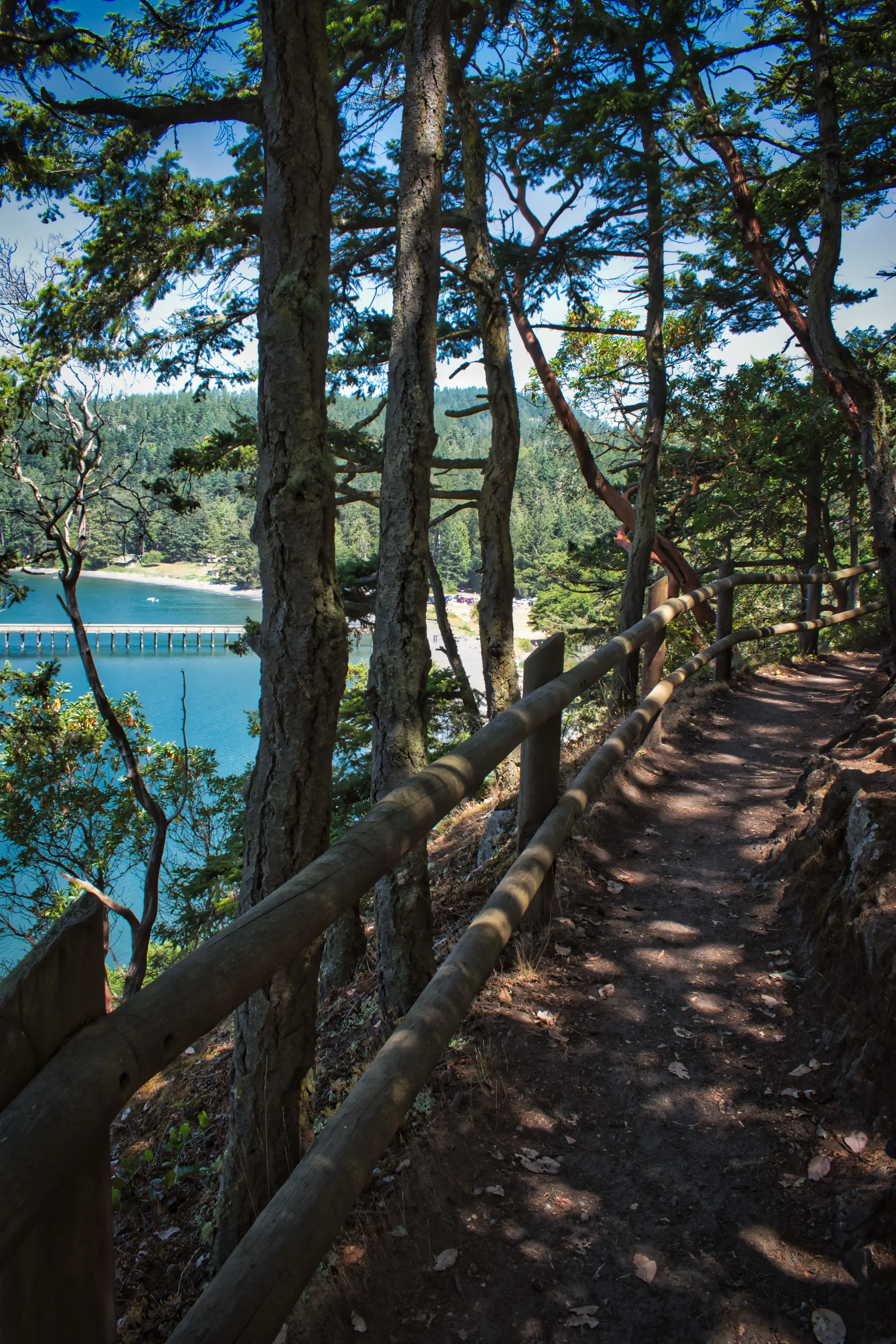 A dirt trail lined with a wooden railing through a forest with tall trees, overlooking a lake with a pier and hills in the distance.