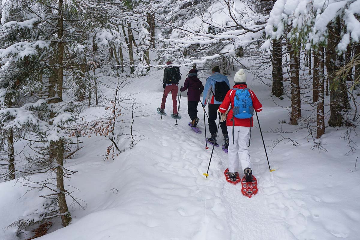 snowshoe.jpg