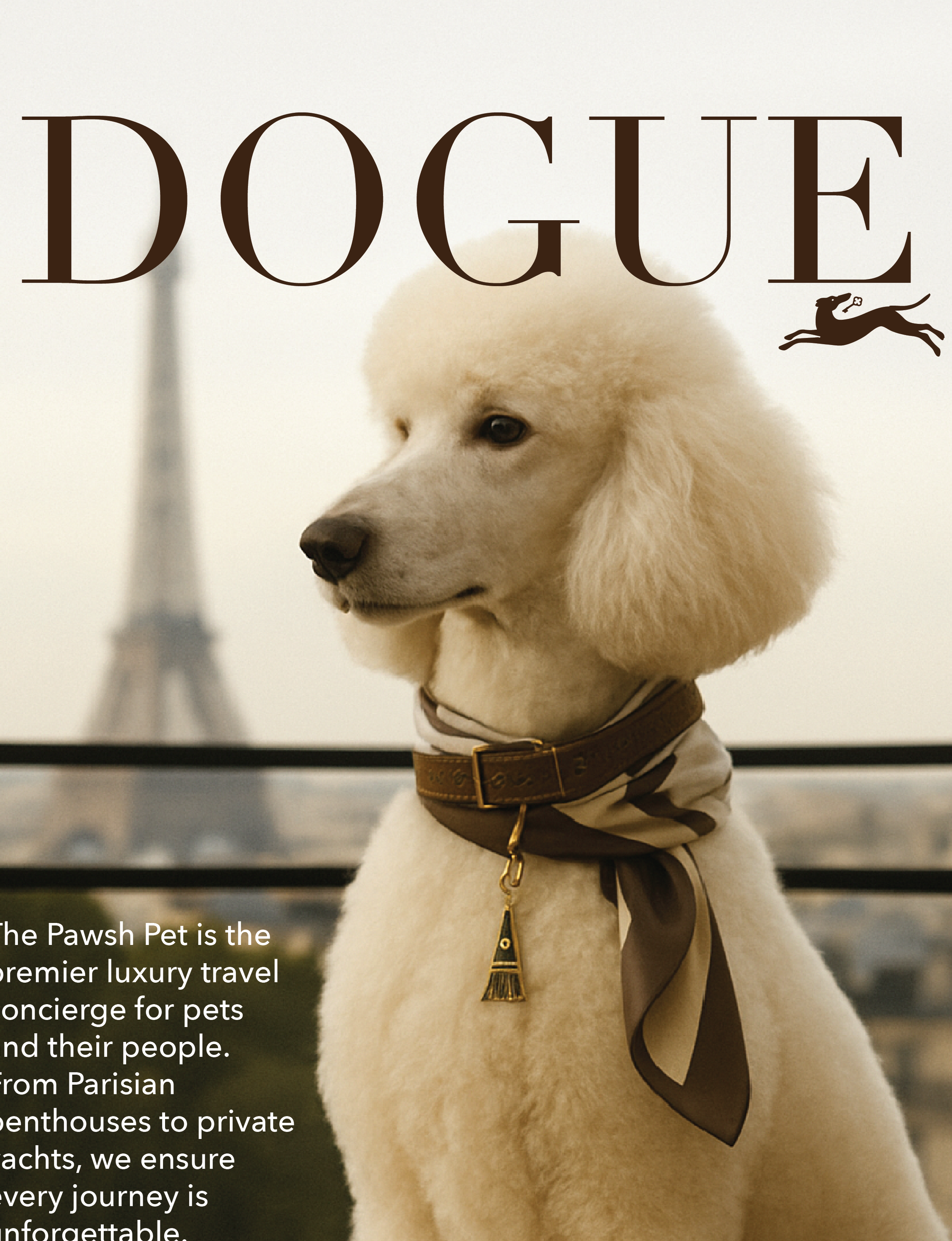 DogueCover_PawshPet.png