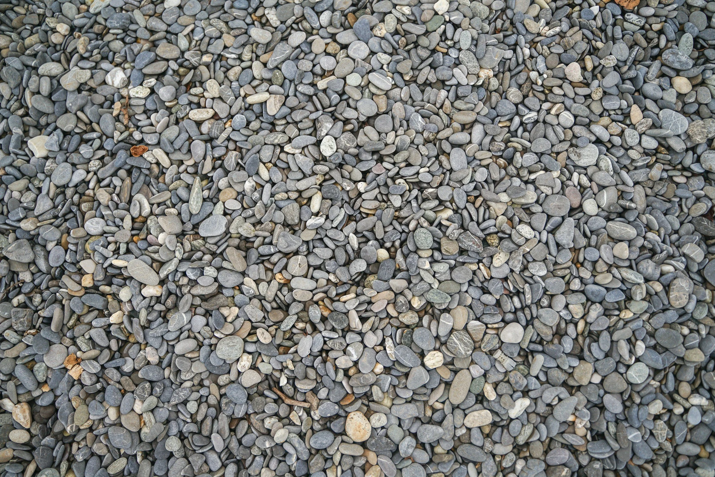 unsplash-image-wJT5gXnt53A.jpg