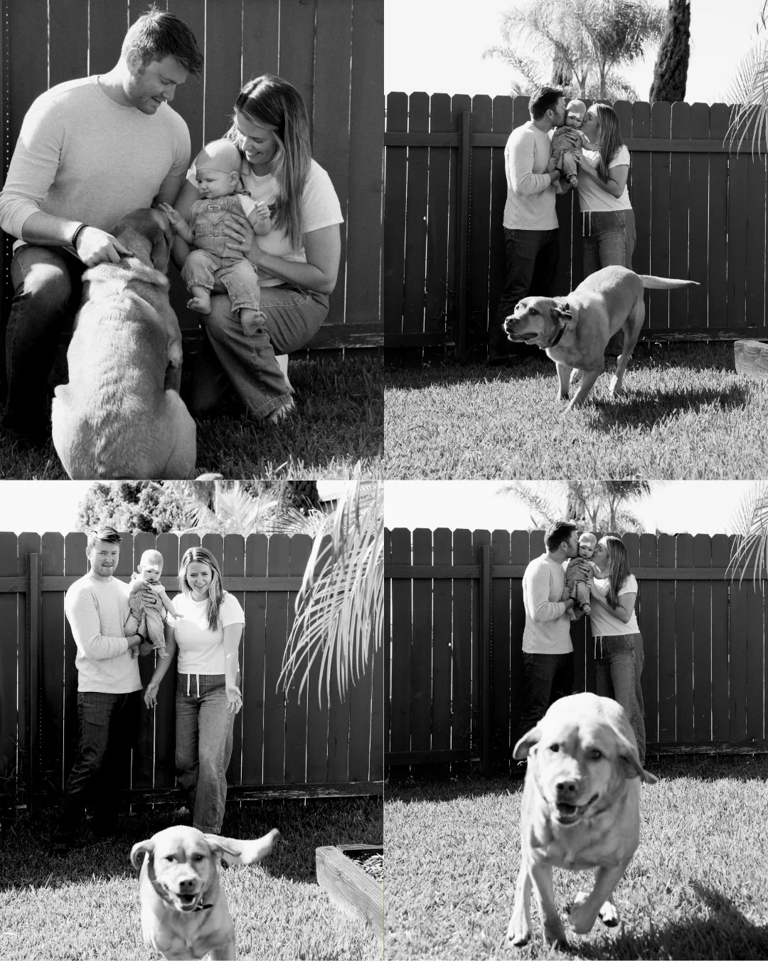 Untitled (Instagram Post (45))-4.jpg