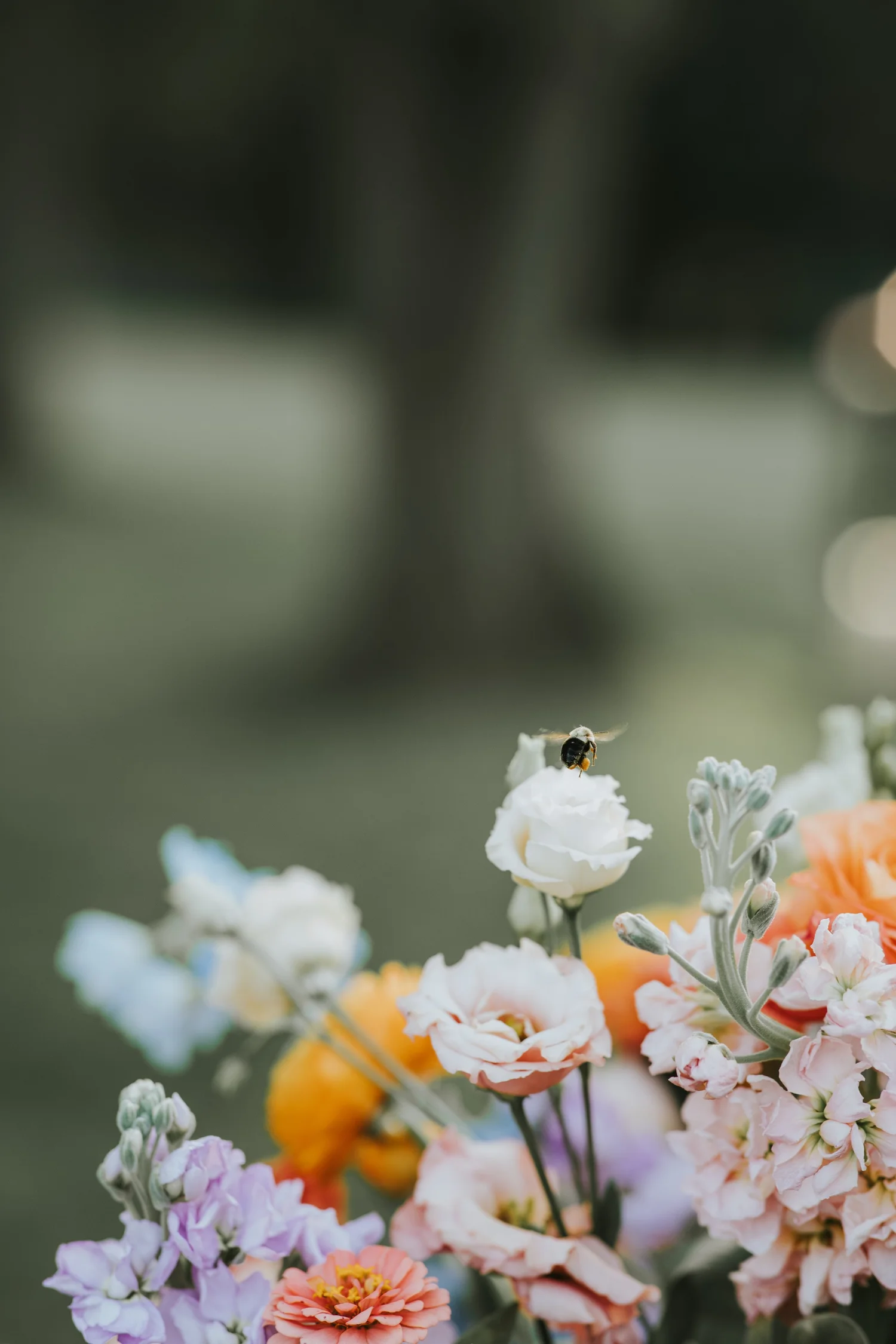 Jordan Jankun Photography