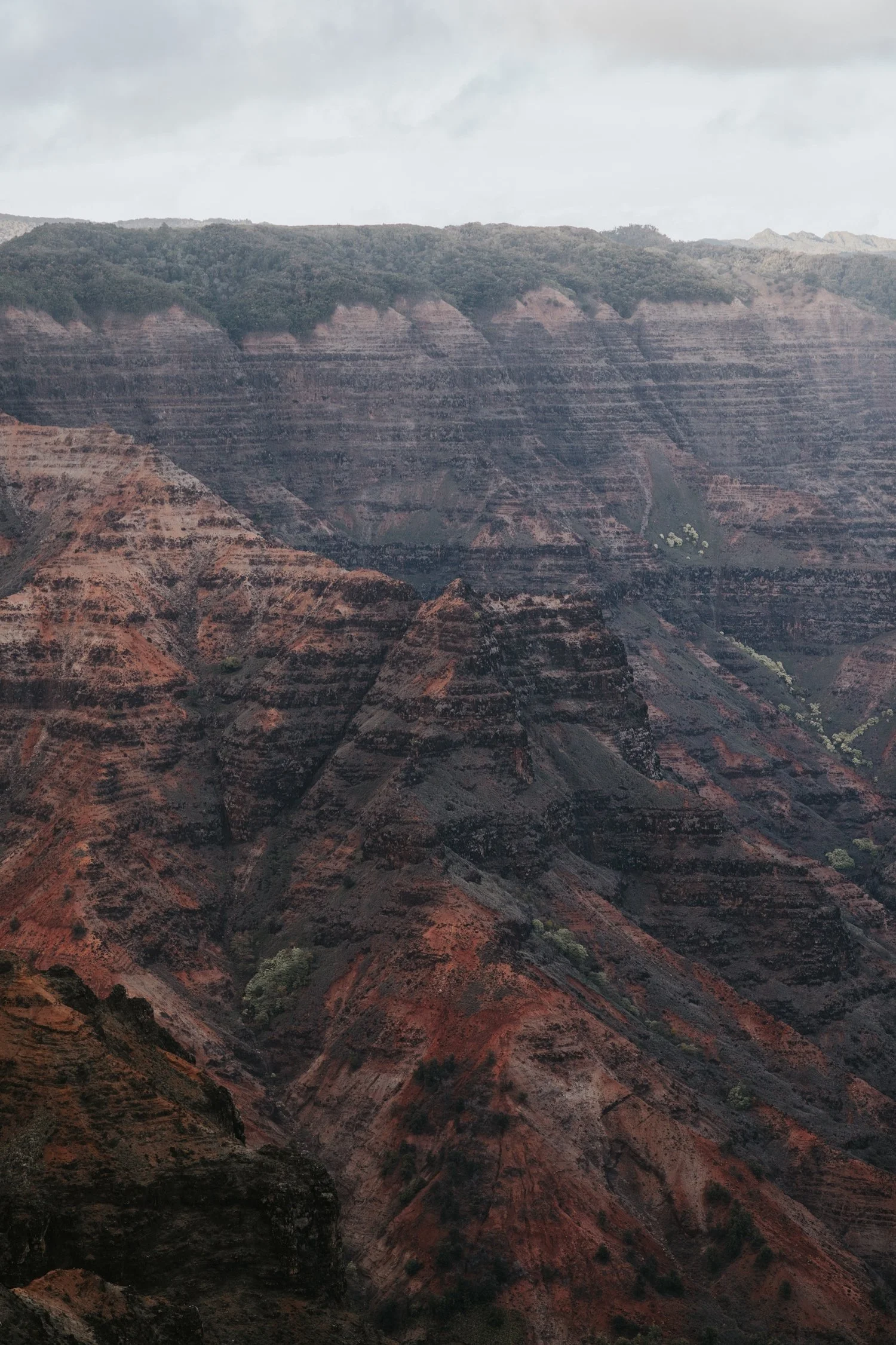 Hudson Valley Wedding Photographer, Catskills Wedding Photographer, Waimea Canyon Elopement, Oahu Wedding Photographer