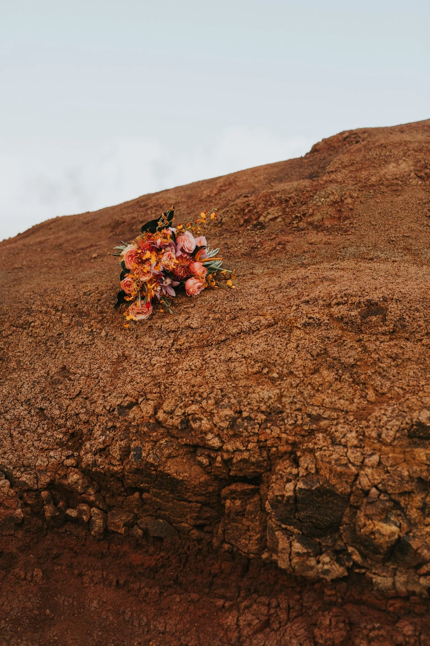 Hudson Valley Wedding Photographer, Catskills Wedding Photographer, Waimea Canyon Elopement, Oahu Wedding Photographer