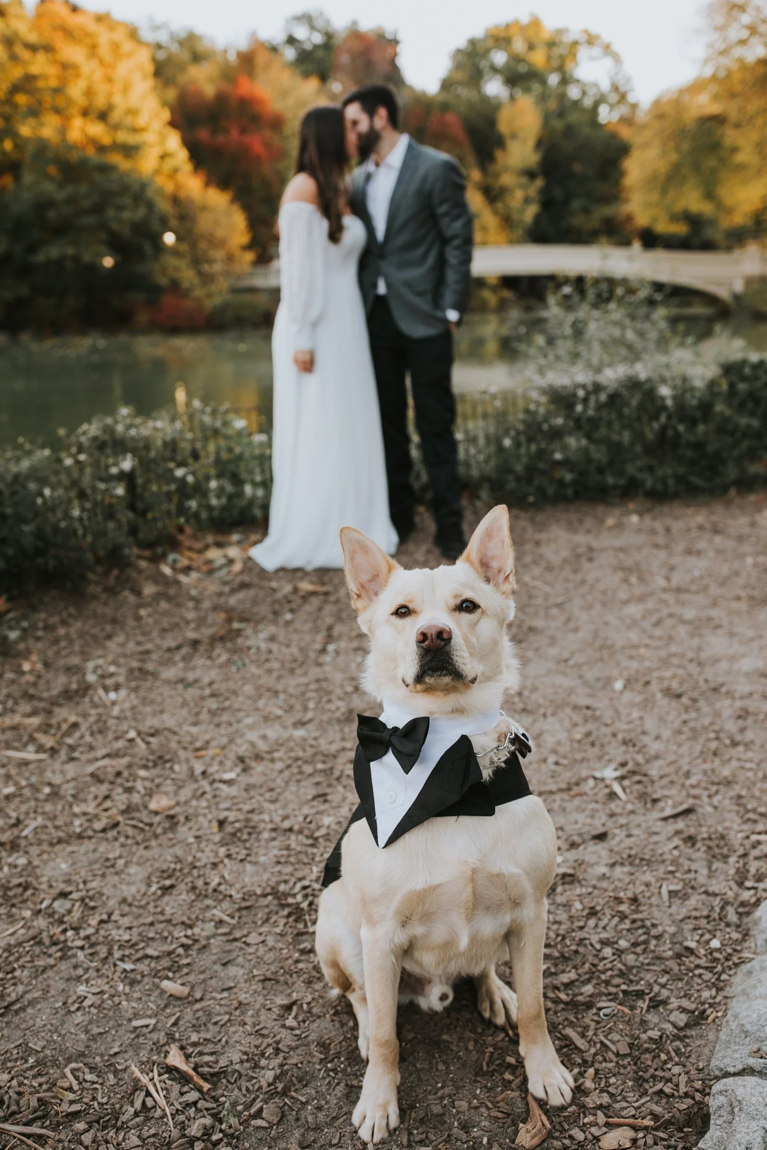 Hudson Valley Wedding Photographer, Central Park Engagement Session, NYC Wedding Photographer, Catskills Wedding Photographer