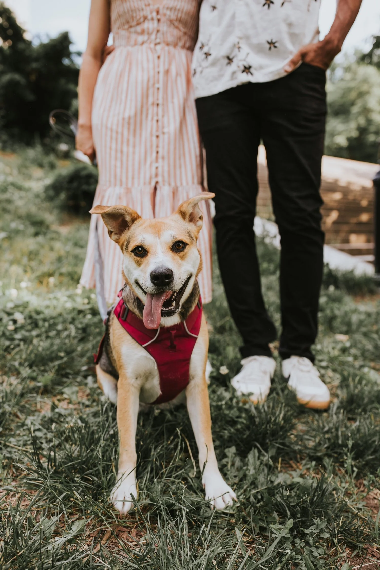Hudson Valley Wedding Photographer, Brooklyn Engagement Session, Catskills Wedding Photographer, Brooklyn Wedding Photographer, NYC Engagement Photos
