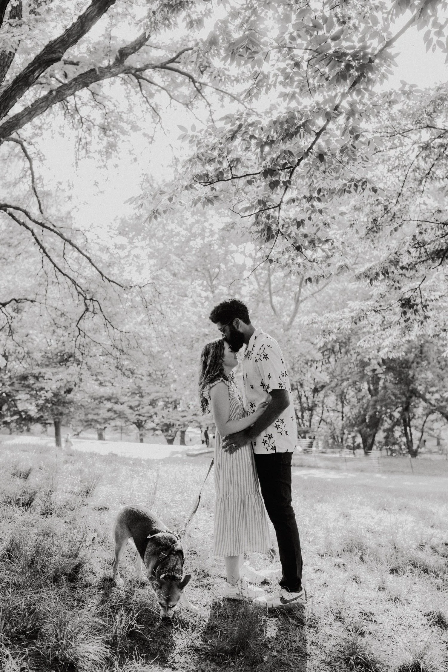 Hudson Valley Wedding Photographer, Brooklyn Engagement Session, Catskills Wedding Photographer, Brooklyn Wedding Photographer, NYC Engagement Photos
