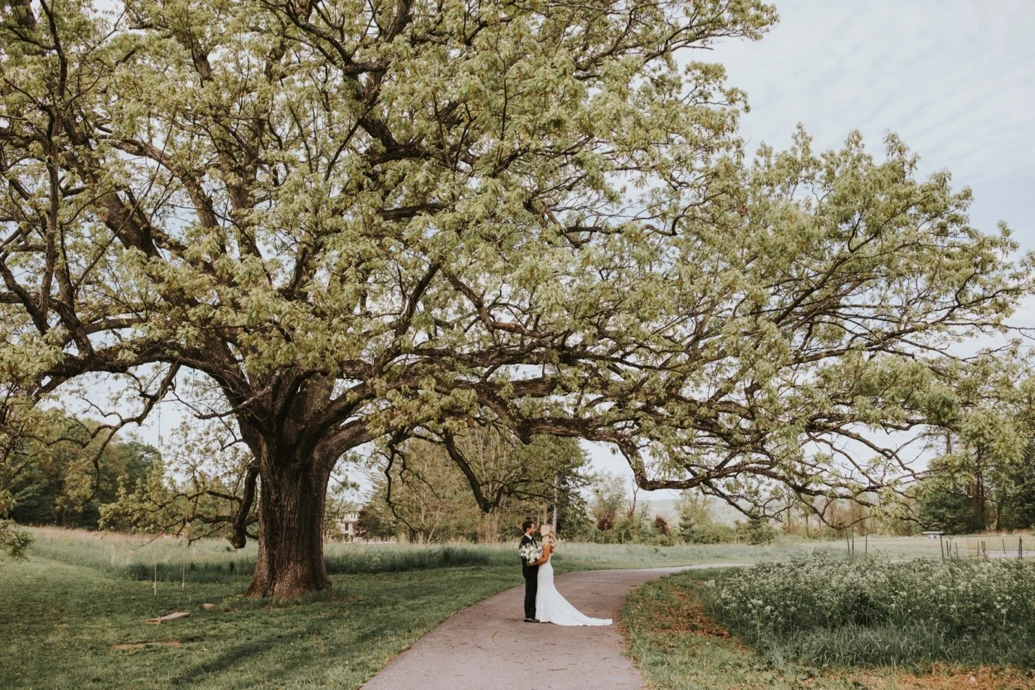 Hudson Valley Wedding Photographer, Red Maple Vineyard, Red Maple Vineyard Wedding, Catskills Wedding Photographer, NYC Wedding Photographer