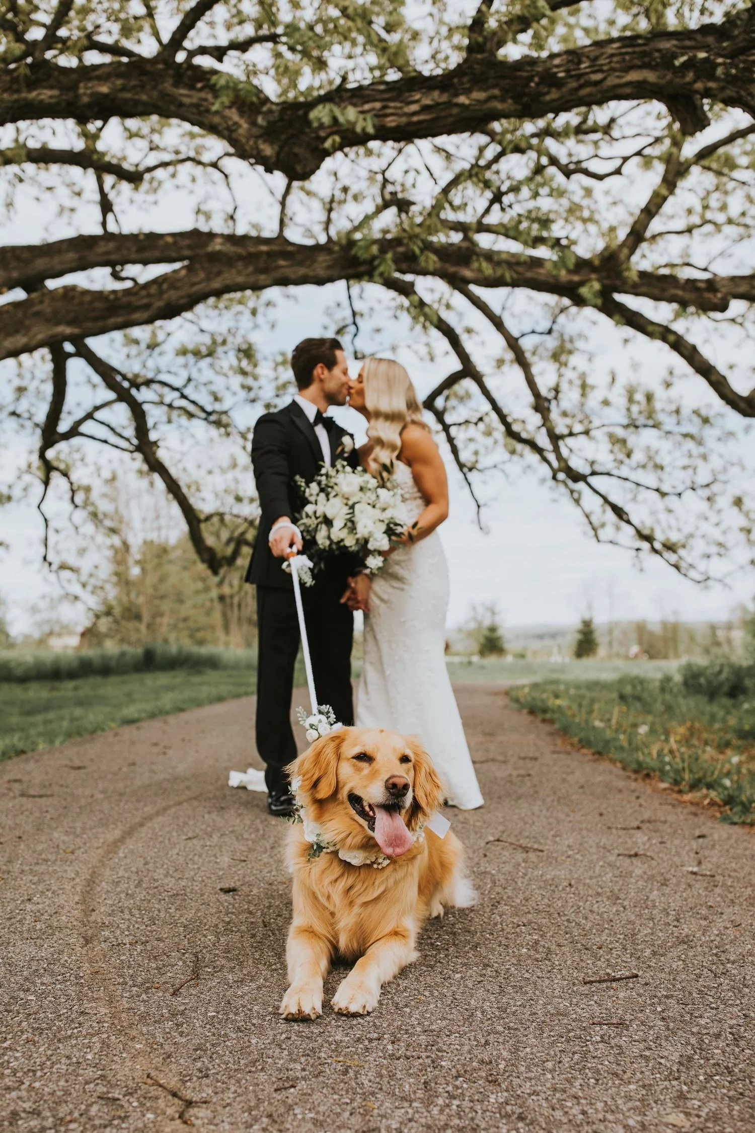 Hudson Valley Wedding Photographer, Red Maple Vineyard, Red Maple Vineyard Wedding, Catskills Wedding Photographer, NYC Wedding Photographer