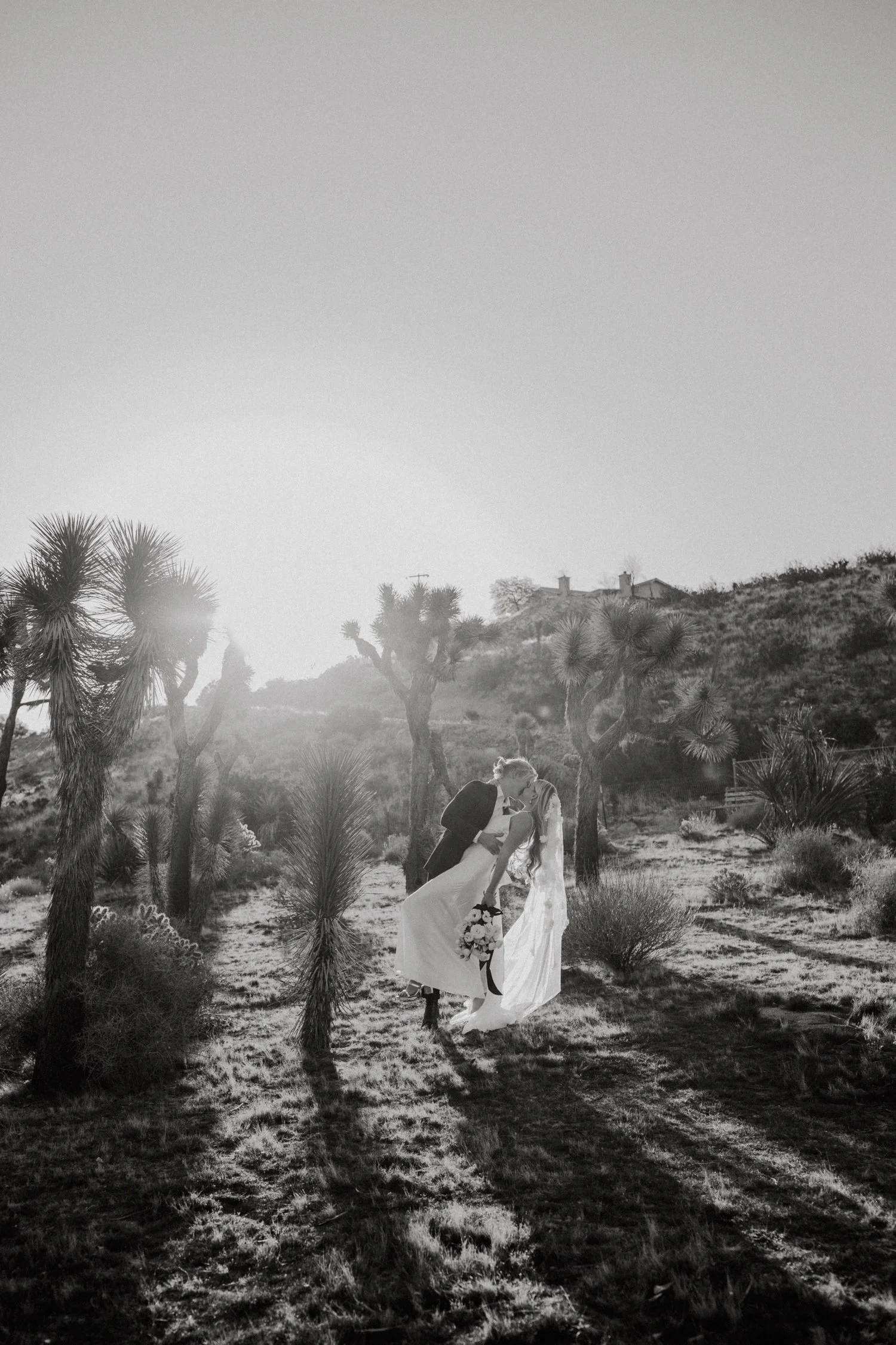 Joshua Tree Wedding Photographer, Hudson Valley Wedding Photographer, Oahu Wedding Photographer, Hawaii Styled Shoot, Styled Shoots for Photographers