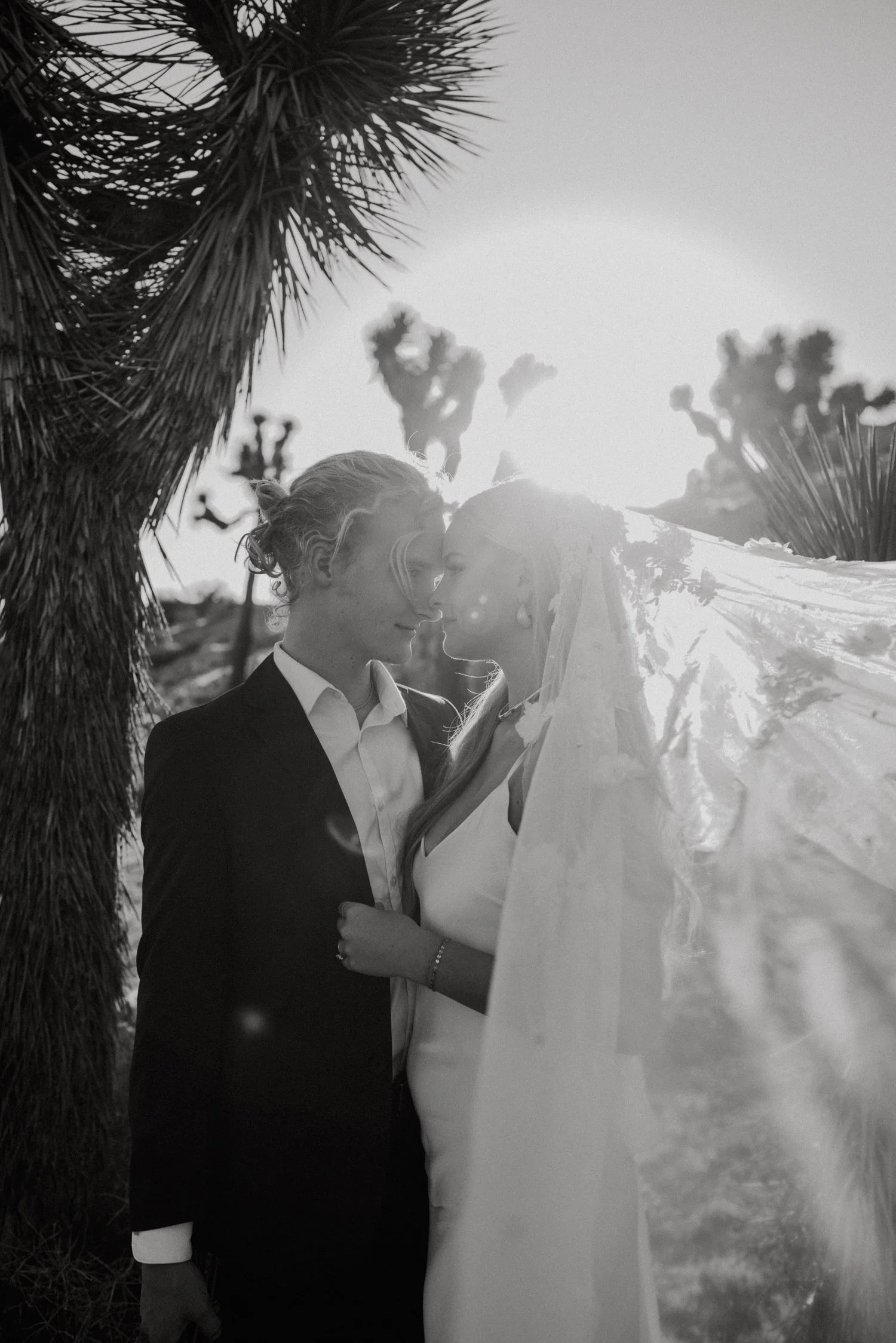27_127A9564_Hudson Valley Wedding Photographer, Joshua Tree Wedding, Joshua Tree Wedding Photographer, California Wedding Photographer, Palm Springs Wedding Photographer, Styled Shoots for Photographers.jpg