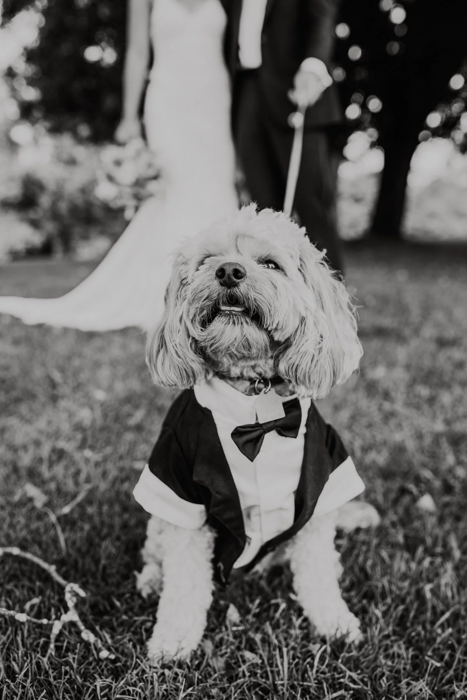 Hudson Valley Wedding Photographer, New York Wedding Photographer, Catskills Wedding Photographer, West Hills Country Club Wedding